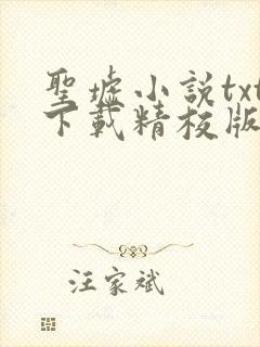 圣墟小说txt下载精校版