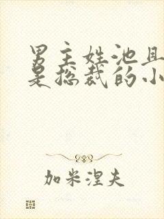 男主姓池且男主是总裁的小说