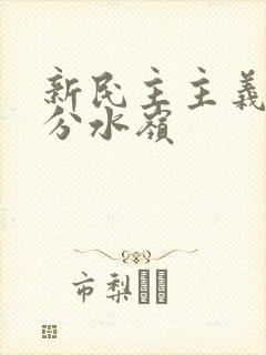 新民主主义革命分水岭