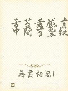 舌苔黄腻有齿痕中间有裂纹