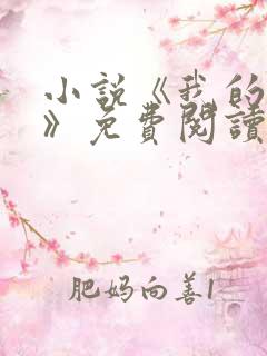 小说《我的荷姨》免费阅读