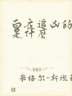 白夜追凶的真相是什么