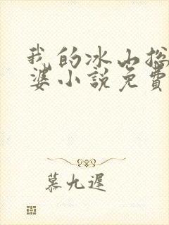 我的冰山总裁老婆小说免费阅读