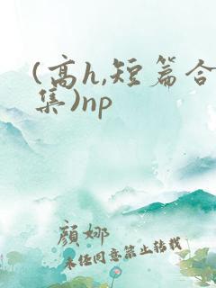 (高h,短篇合集)np