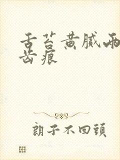 舌苔黄腻两侧有齿痕