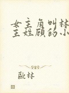 女主角叫林微男主姓顾的小说
