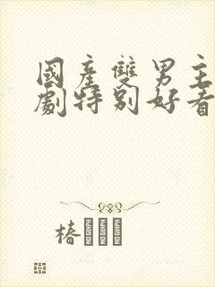 国产双男主电视剧特别好看的