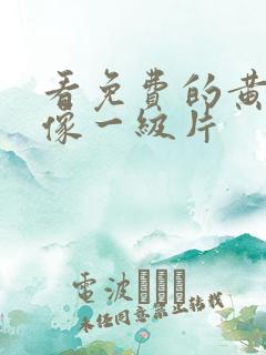 看免费的黄色录像一级片