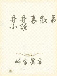 哥哥喜欢弟弟的小说