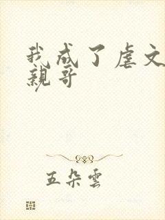 我成了虐文女主亲哥