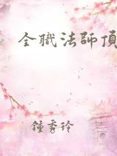 全职法师顶点