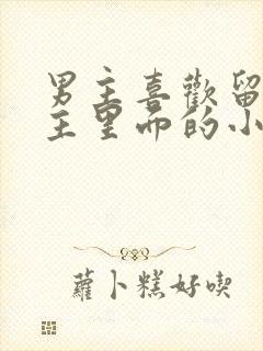 男主喜欢留在女主里面的小说