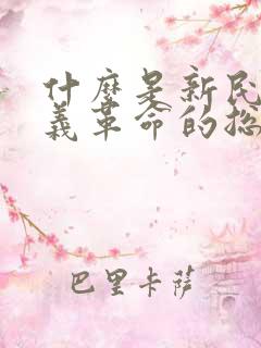 什么是新民主主义革命的总路线 主权问题