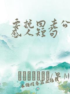 要挽回老公心的感人短句