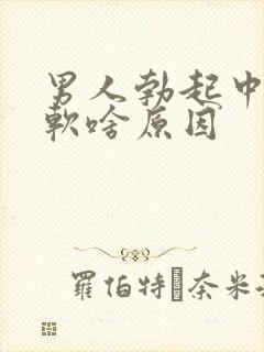 男人勃起中途变软啥原因