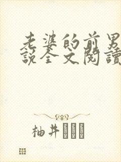 老婆的前男友小说全文阅读