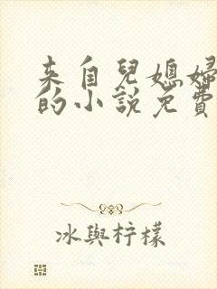 来自儿媳妇的爱的小说免费阅读