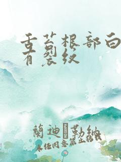 舌苔根部白腻厚有裂纹