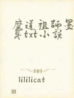 魔道祖师墨香铜臭txt小说