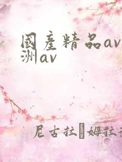 国产精品av亚洲av
