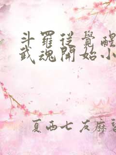 斗罗从觉醒朱雀武魂开始小说