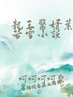 龙王医婿叶凡唐若雪小说