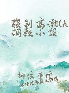 强制高潮(h)调教小说