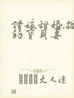 错嫁甜婚,总裁的宝贝妻