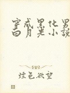 穿成黑化男主的白月光小说完结版