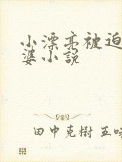 小漂亮被迫当老婆小说