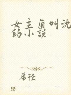 女主角叫沈清澜的小说