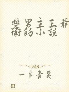 双男主王爷和暗卫的小说