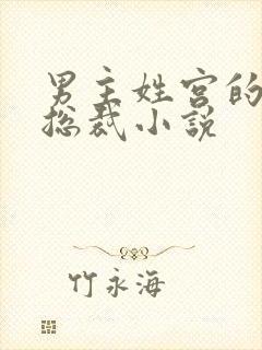 男主姓宫的现代总裁小说