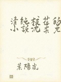 清纯校花的日常小说沈柔免费阅读