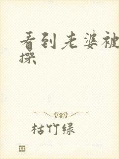 看到老婆被别人操