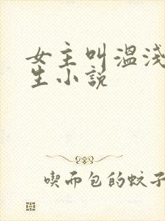 女主叫温浅的重生小说