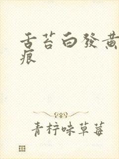 舌苔白发黄有齿痕