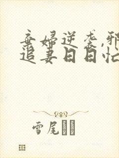 弃妇逆袭,邪王追妻日日忙