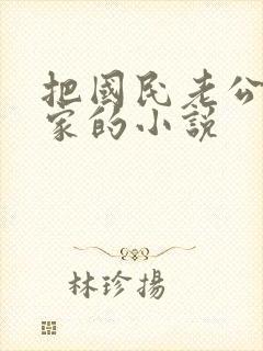 把国民老公带回家的小说