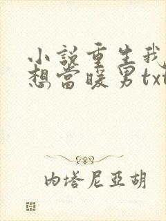 小说重生我真没想当暖男txt