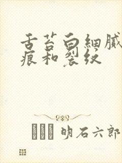 舌苔白细腻有齿痕和裂纹