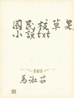 国民校草是女生小说txt