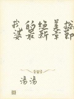 我的绝美总裁老婆最新章节