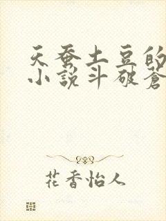 天蚕土豆的全部小说斗破苍穹