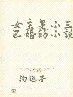 女主是小三男主已婚的小说推荐