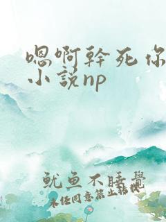 嗯啊干死你男男小说np