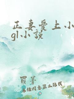 正妻爱上小三的gl小说