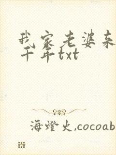 我家老婆来自一千年txt