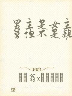 男主是女主的舅舅但不是亲的小说