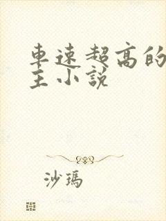 车速超高的双男主小说